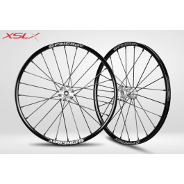 xslx_pair_reduced.png